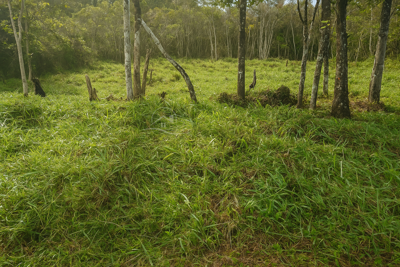 Terreno - Amplo com  quartos  a 1600,00 metros praia.